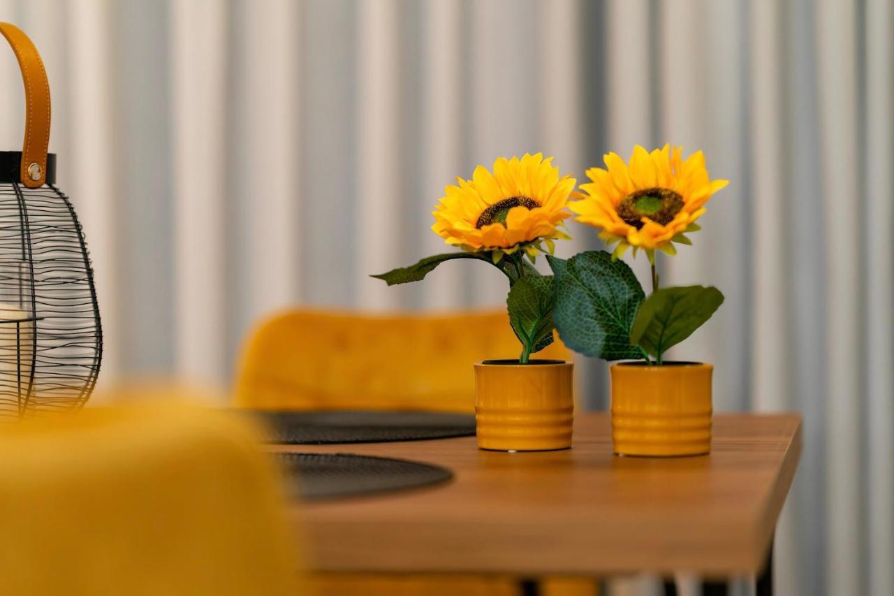 Luxury Town Center Suite, β1 Apartment Heraklion (Crete)